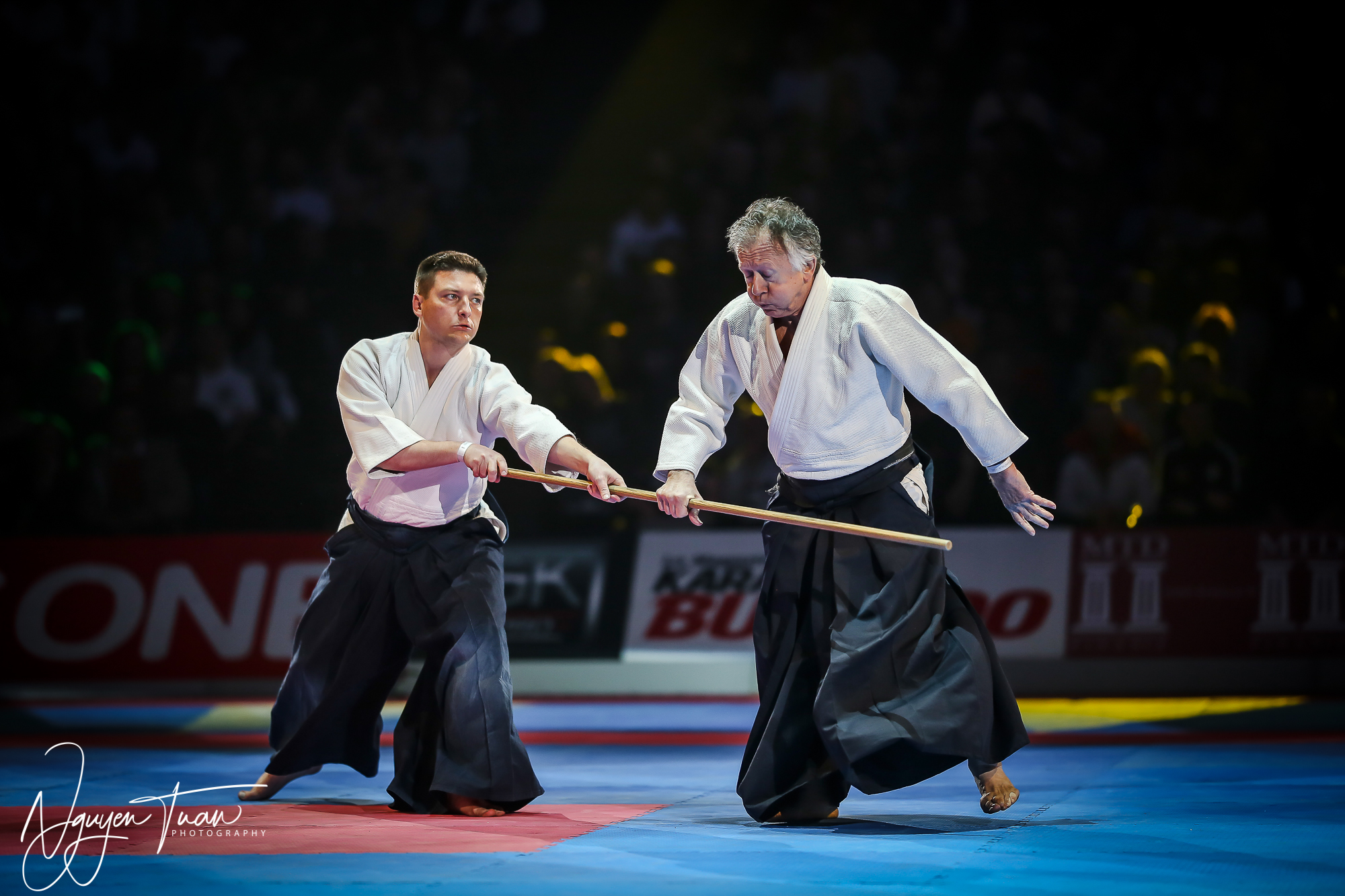 20190324 Festival des Arts Martiaux 2483